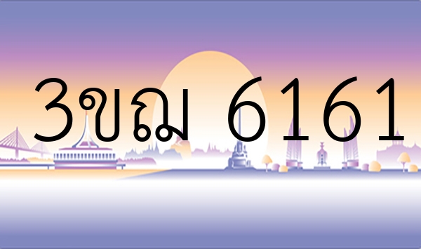 3ขฌ 6161